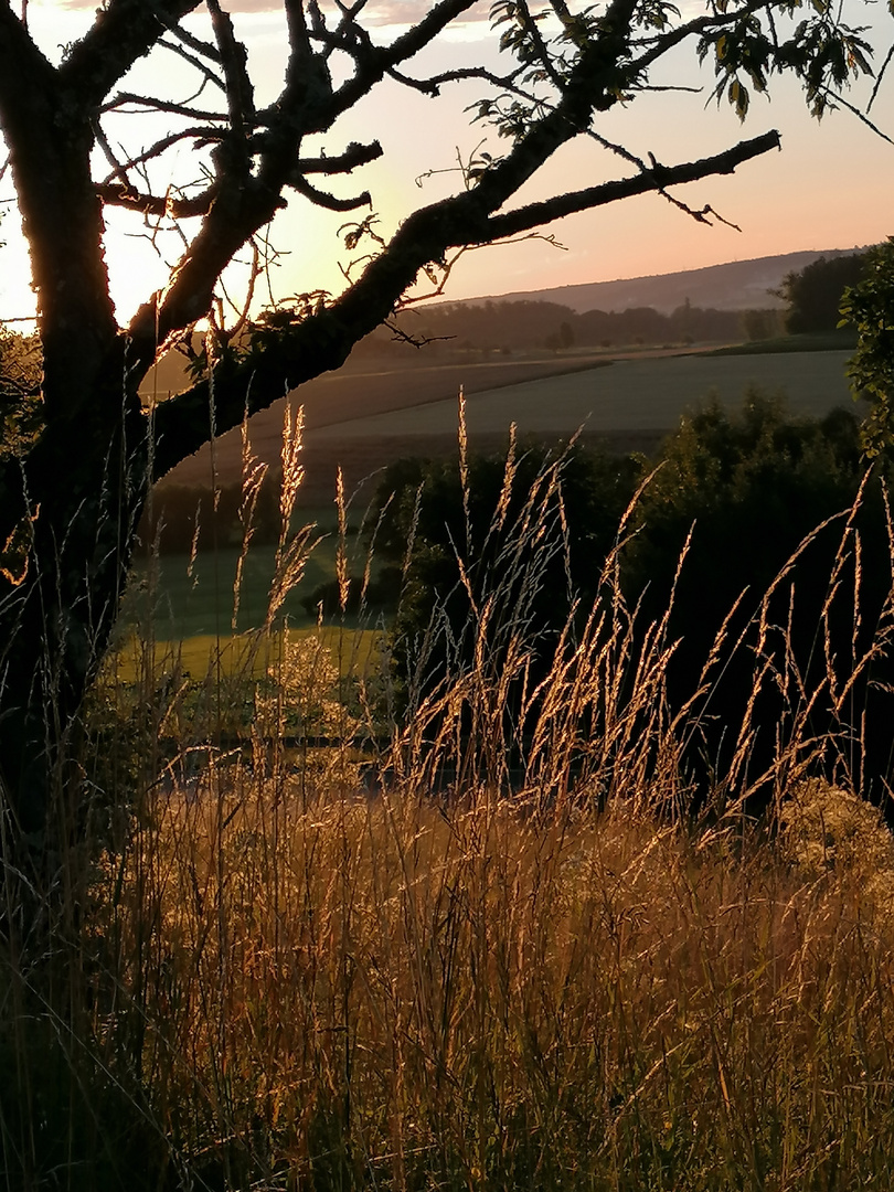 Abenddämmerung 