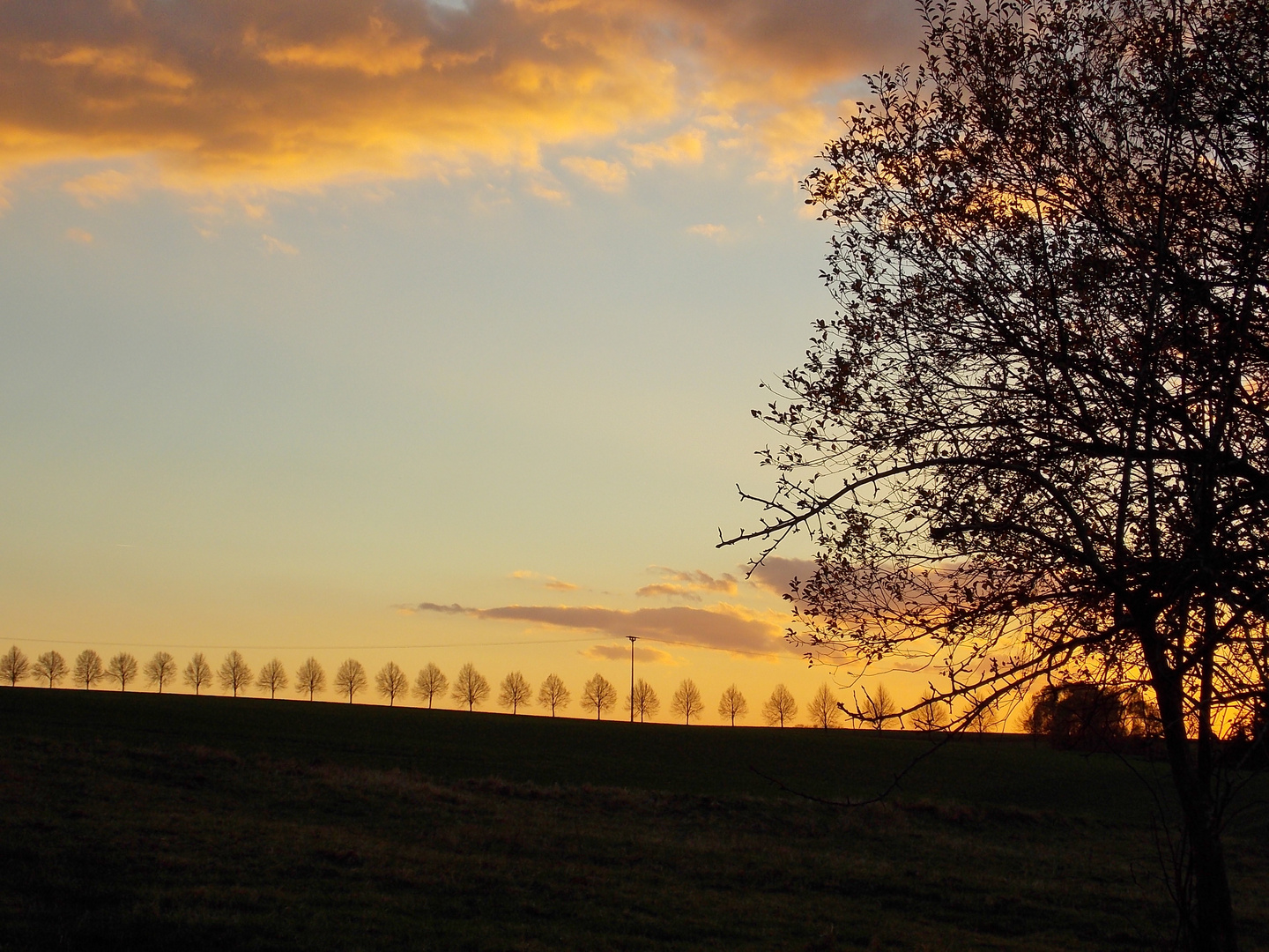 Abenddämmerung