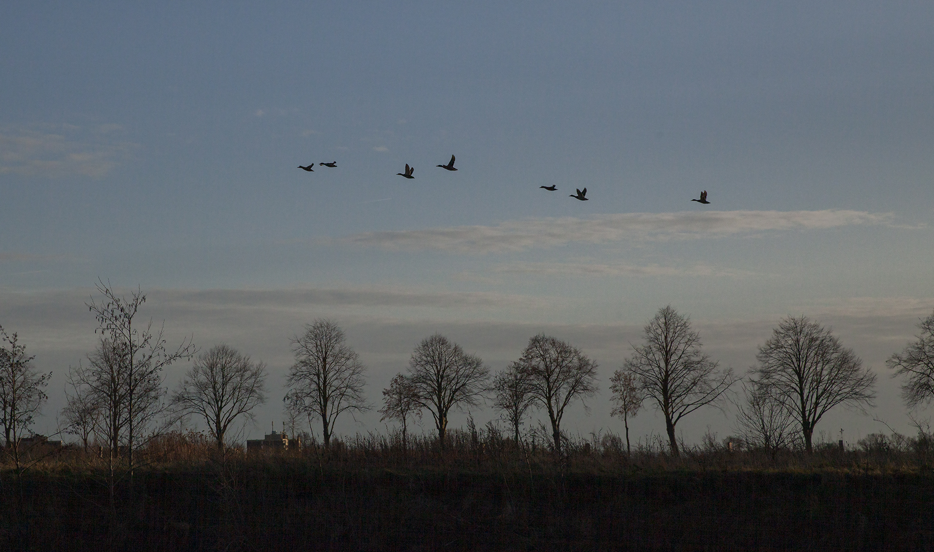 Abenddämmerung