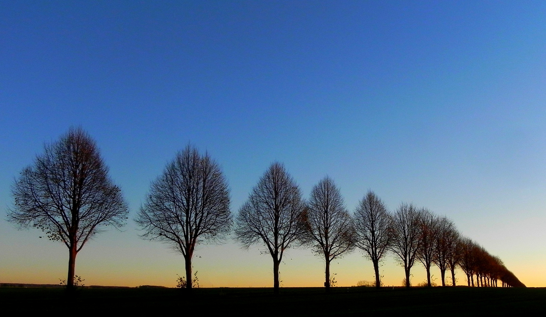 Abenddämmerung