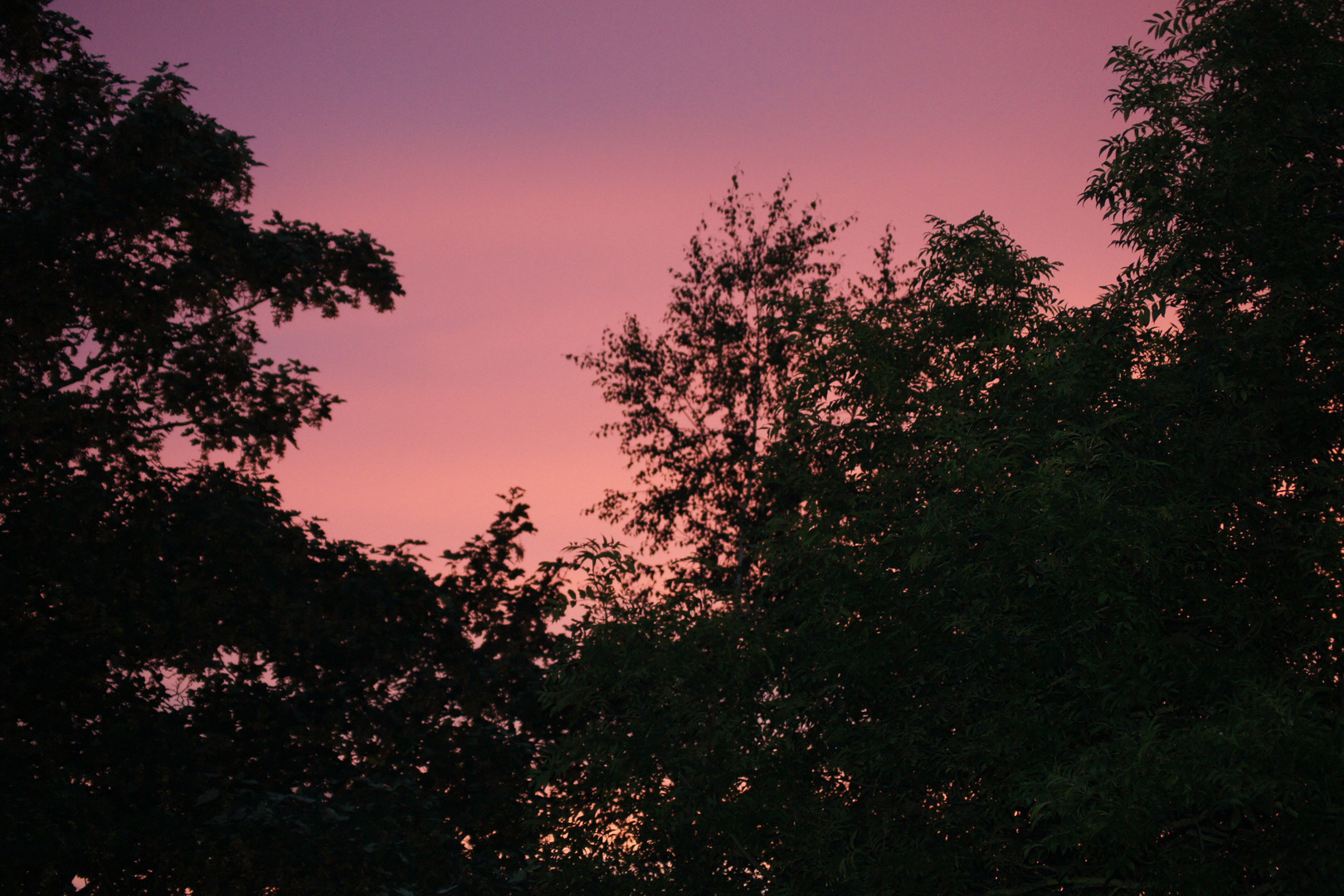 Abenddämmerung