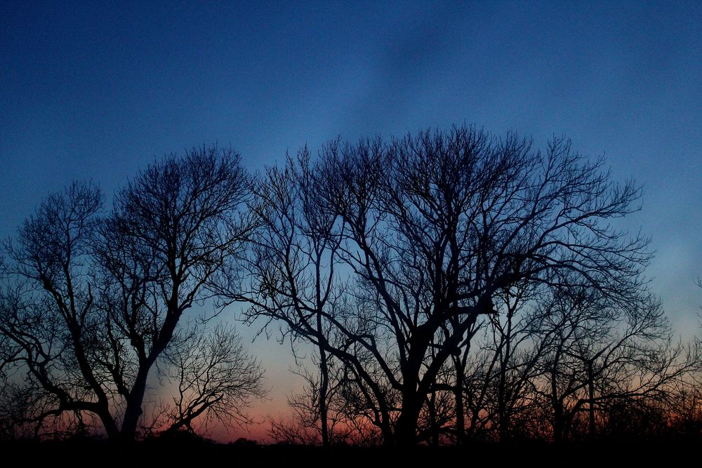 Abenddämmerung