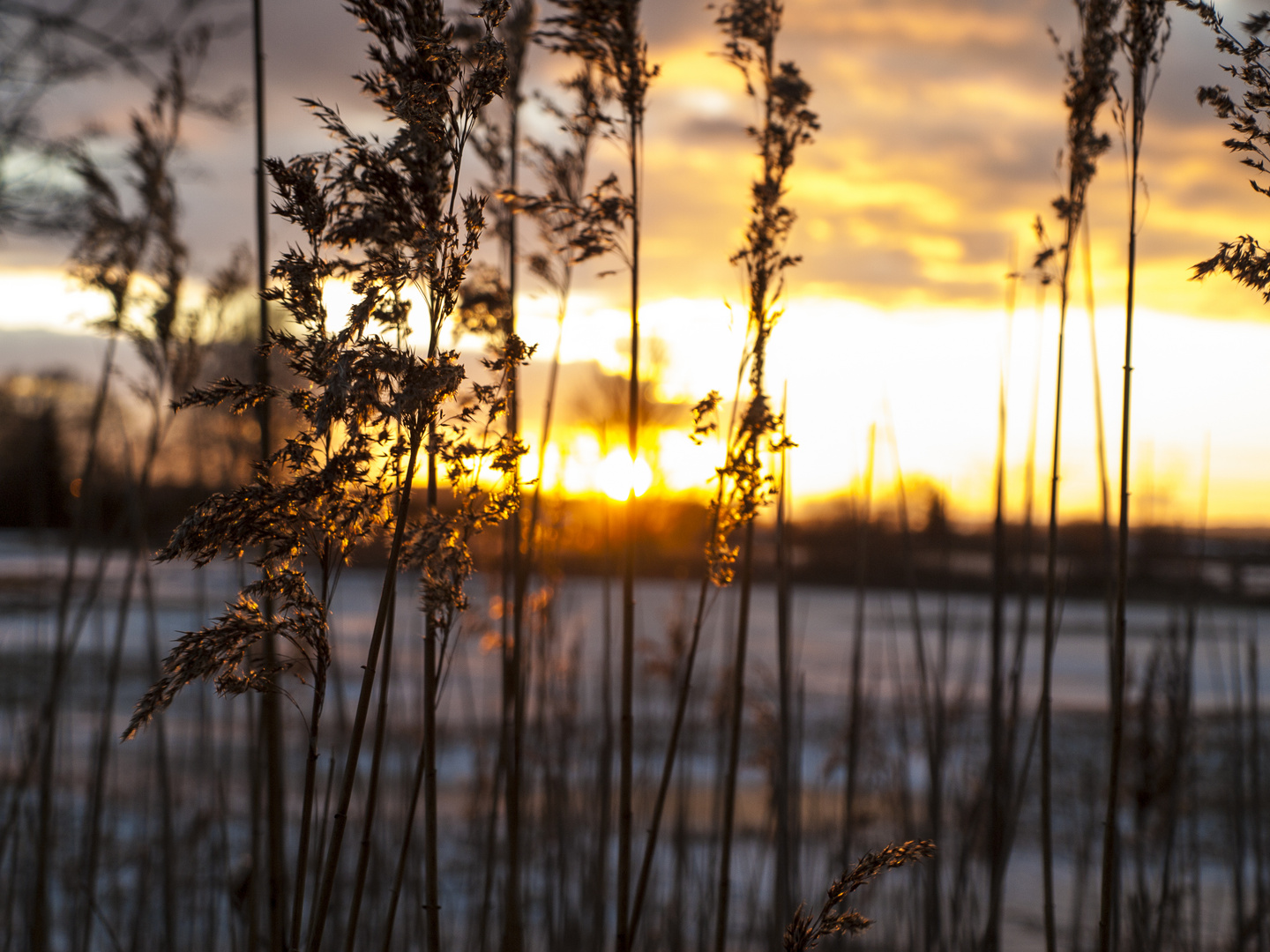 Abenddämmerung