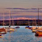 Abenddämmerung am Bodensee 