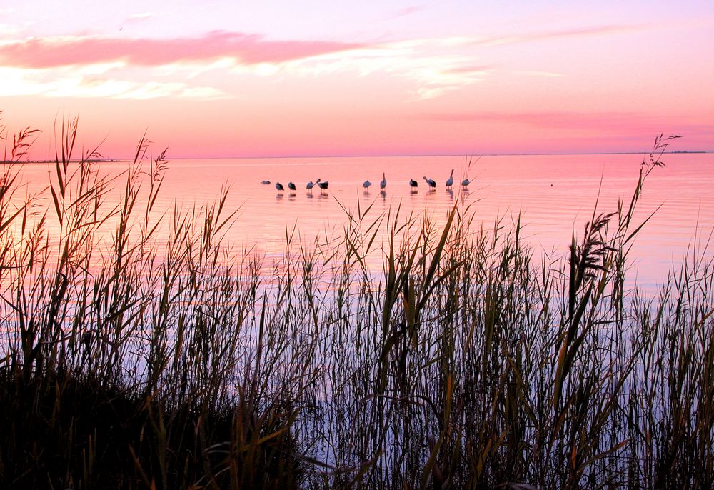 Abenddämmerung am Lake Albert