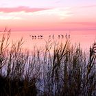 Abenddämmerung am Lake Albert