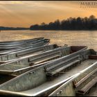 Abenddämmerung am Rhein