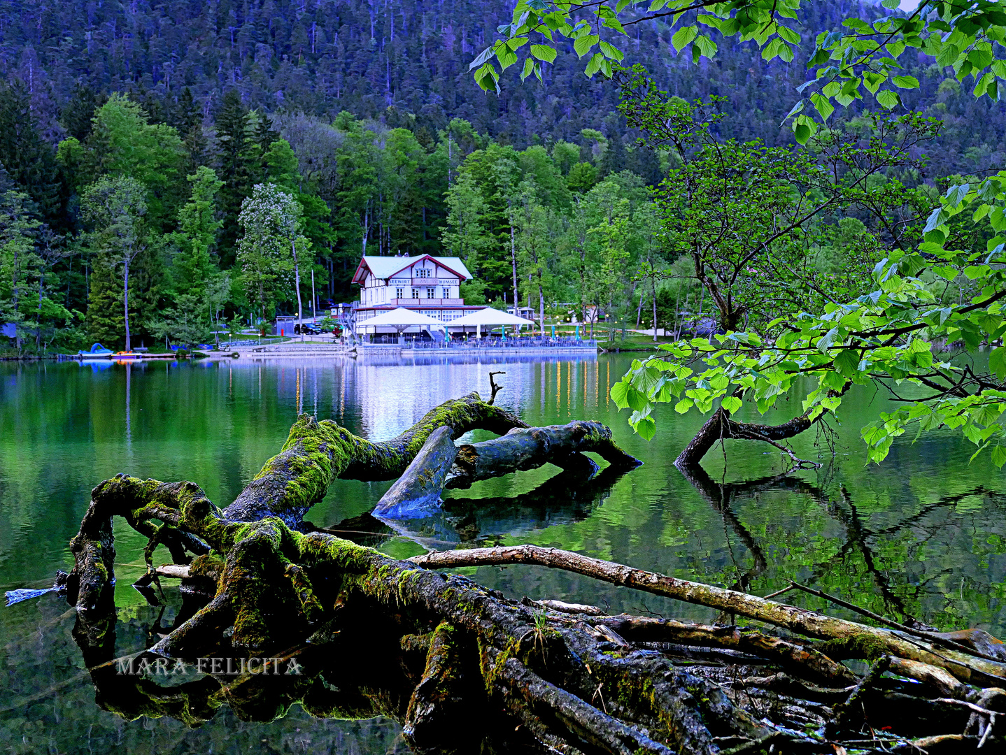 Abenddämmerung am See