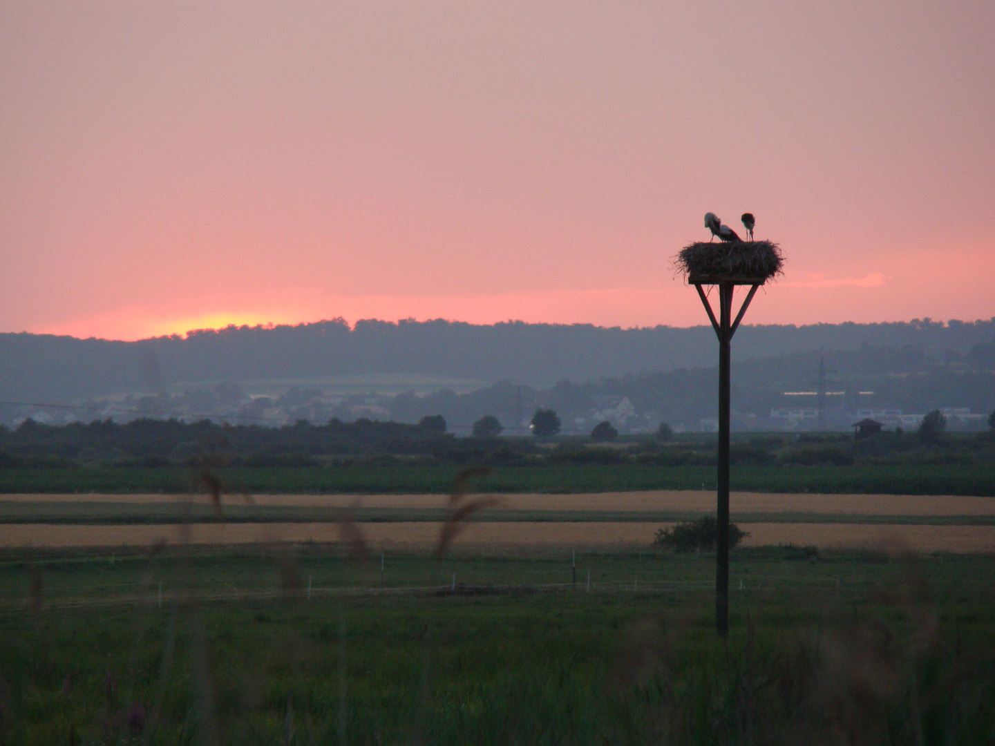 Abenddämmerung am Storchennest