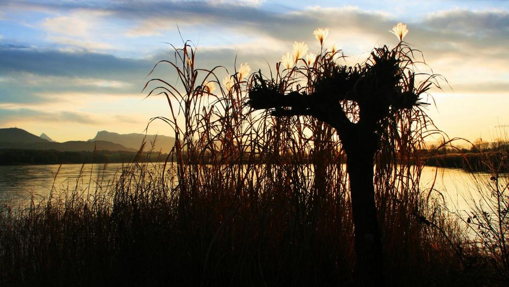 Abenddämmerung am Wallersee