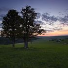 Abenddämmerung auf dem Erzgebirgskamm