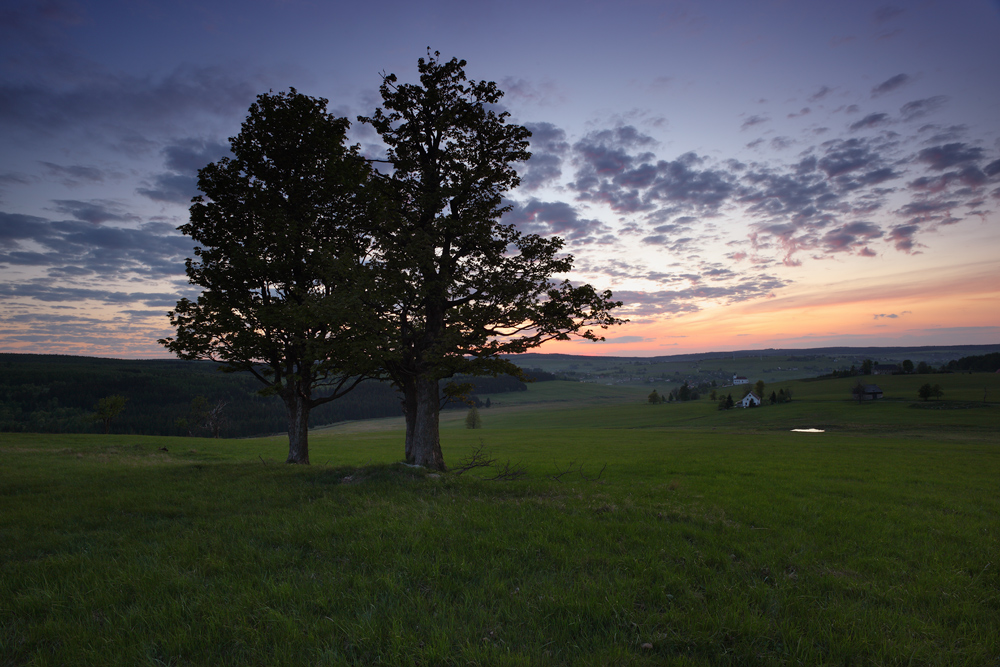 Abenddämmerung auf dem Erzgebirgskamm