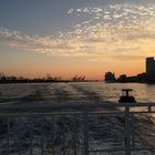 Abenddämmerung auf der Elbe in Hamburg