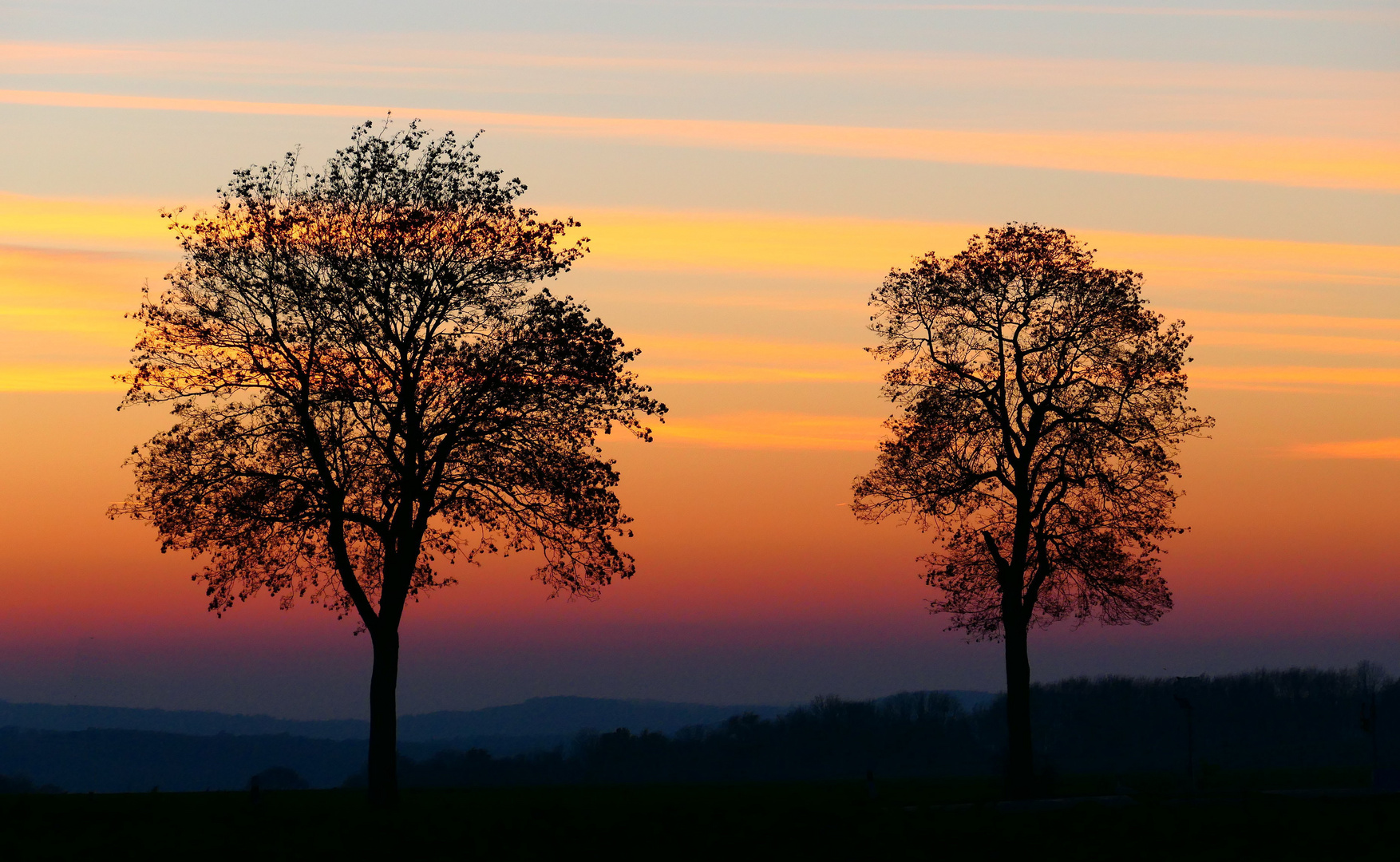 Abenddämmerung auf der Haar