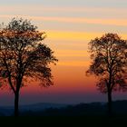 Abenddämmerung auf der Haar