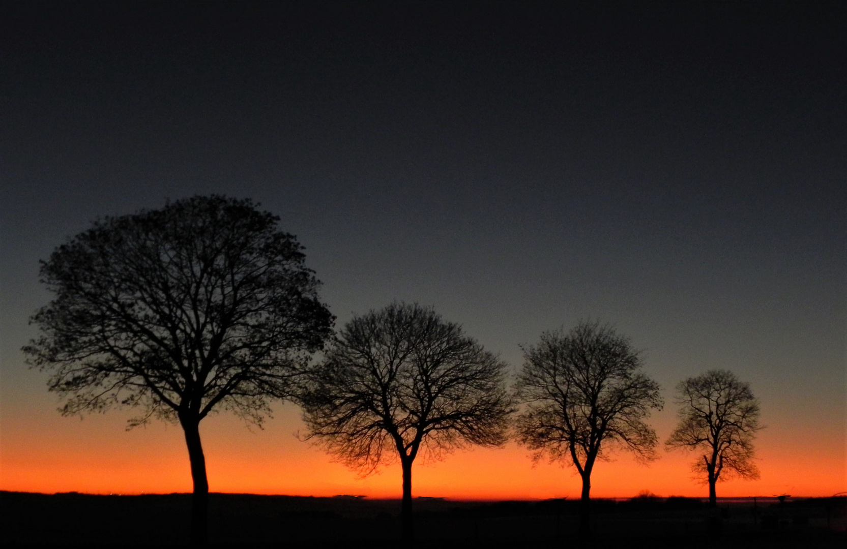 Abenddämmerung auf der Haar