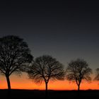 Abenddämmerung auf der Haar