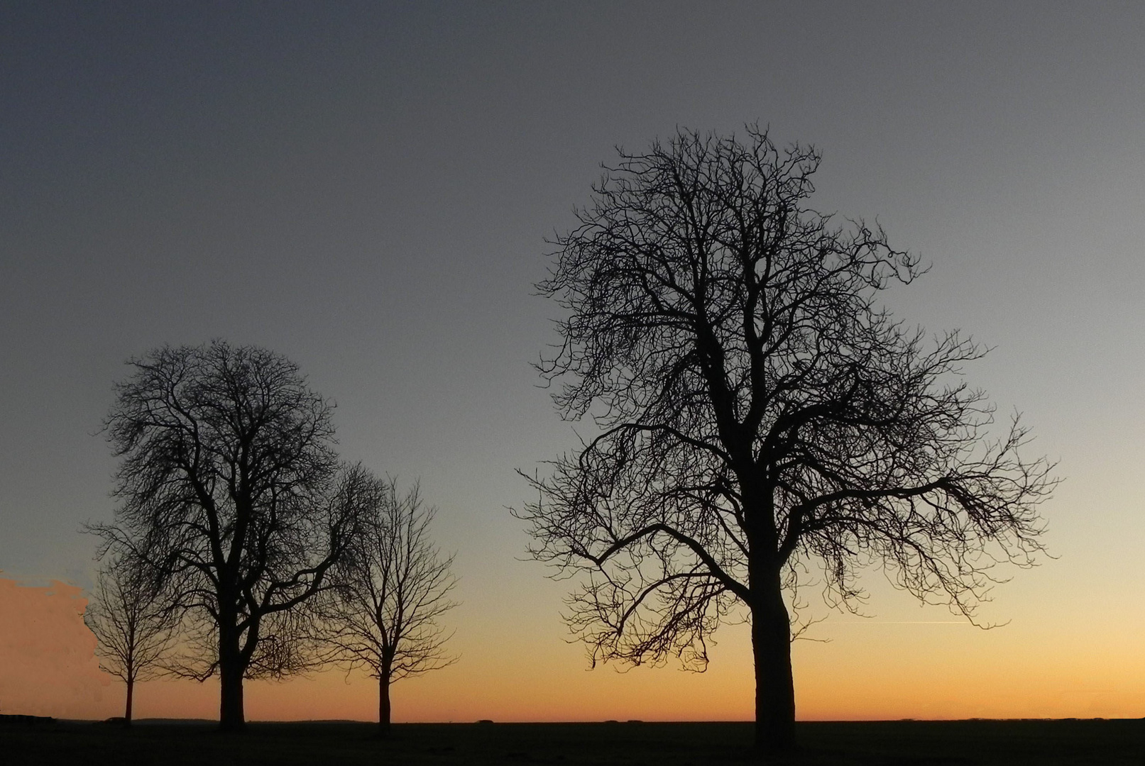 Abenddämmerung auf der Haar