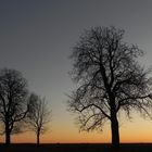 Abenddämmerung auf der Haar