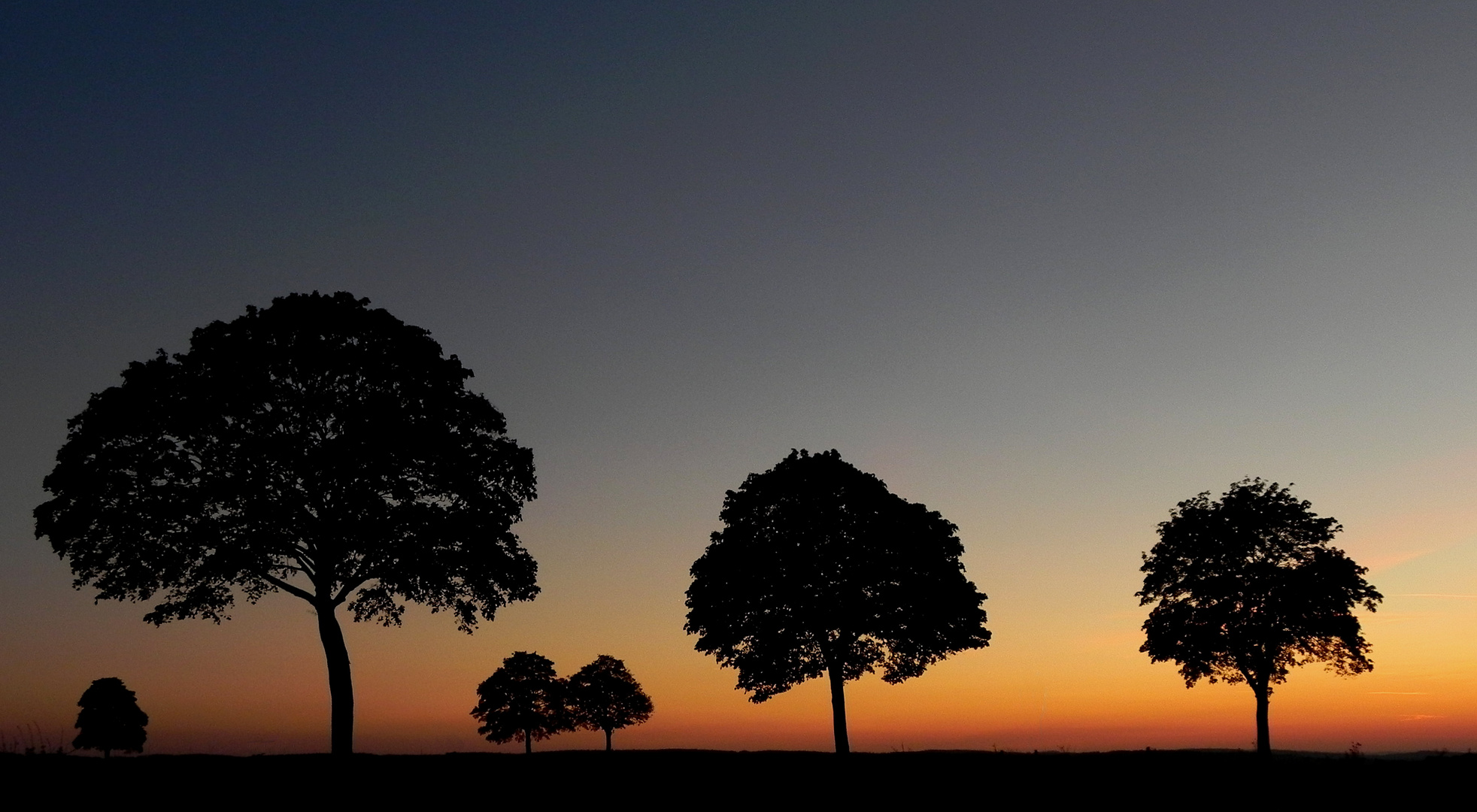 Abenddämmerung auf der Haar