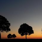 Abenddämmerung auf der Haar