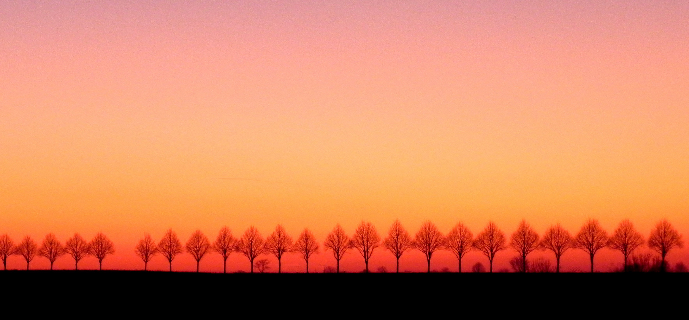 Abenddämmerung auf der Haar