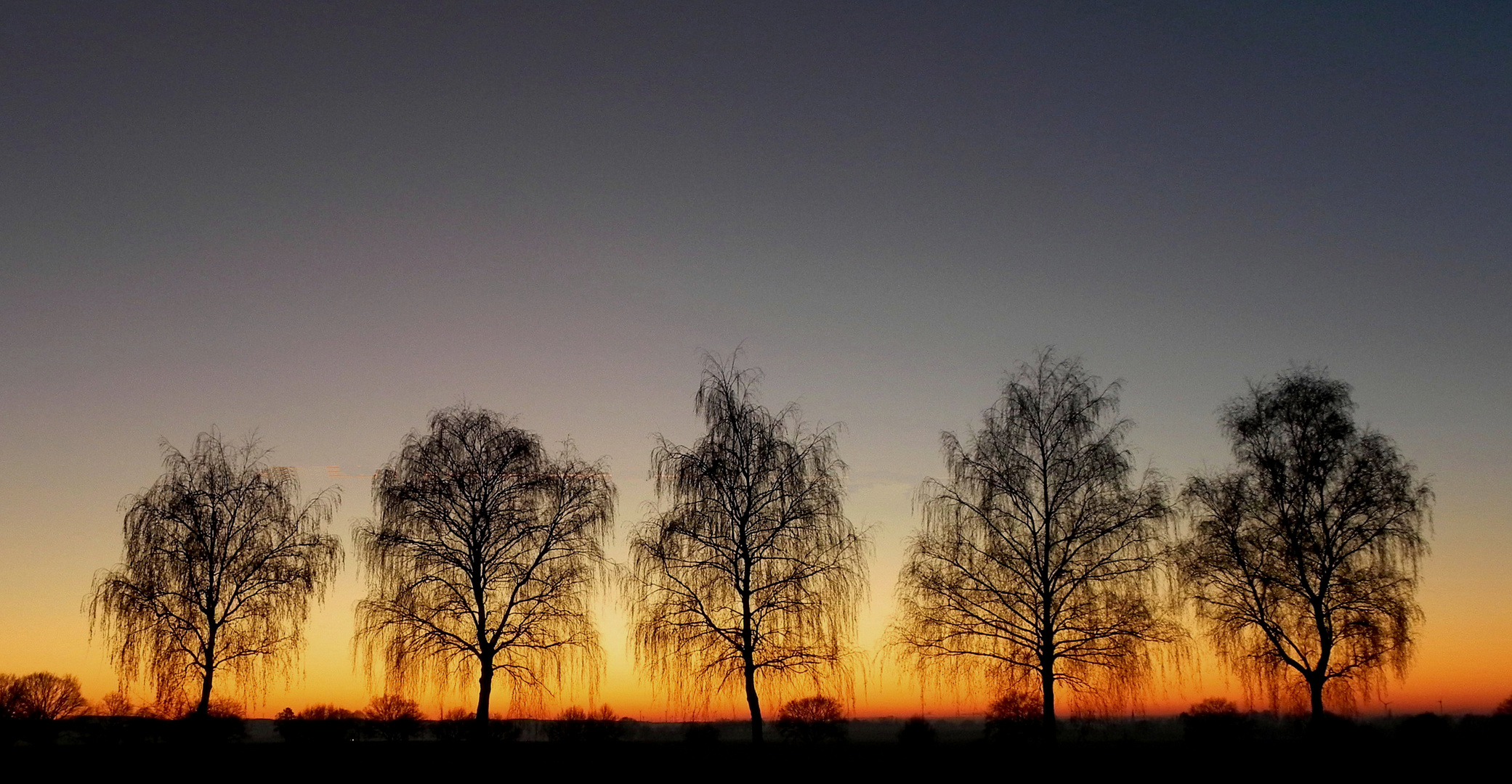 Abenddämmerung auf der Haar