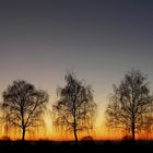 Abenddämmerung auf der Haar