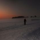 Abenddämmerung auf der Loipe