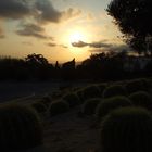 Abenddämmerung auf Montjuic