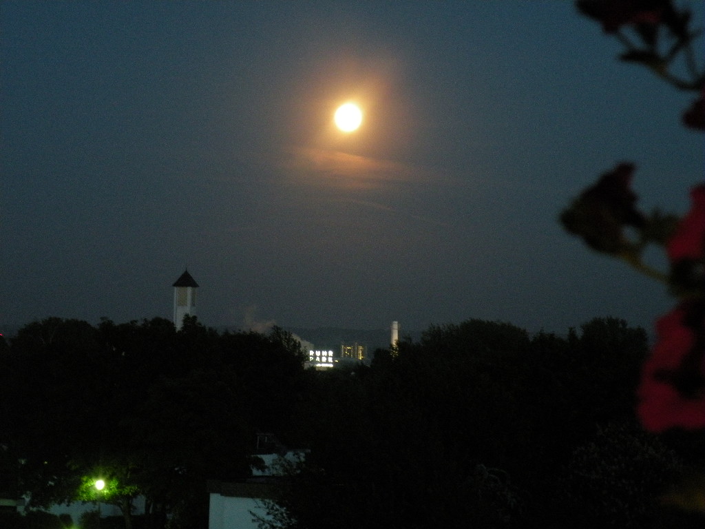 ABENDDÄMMERUNG