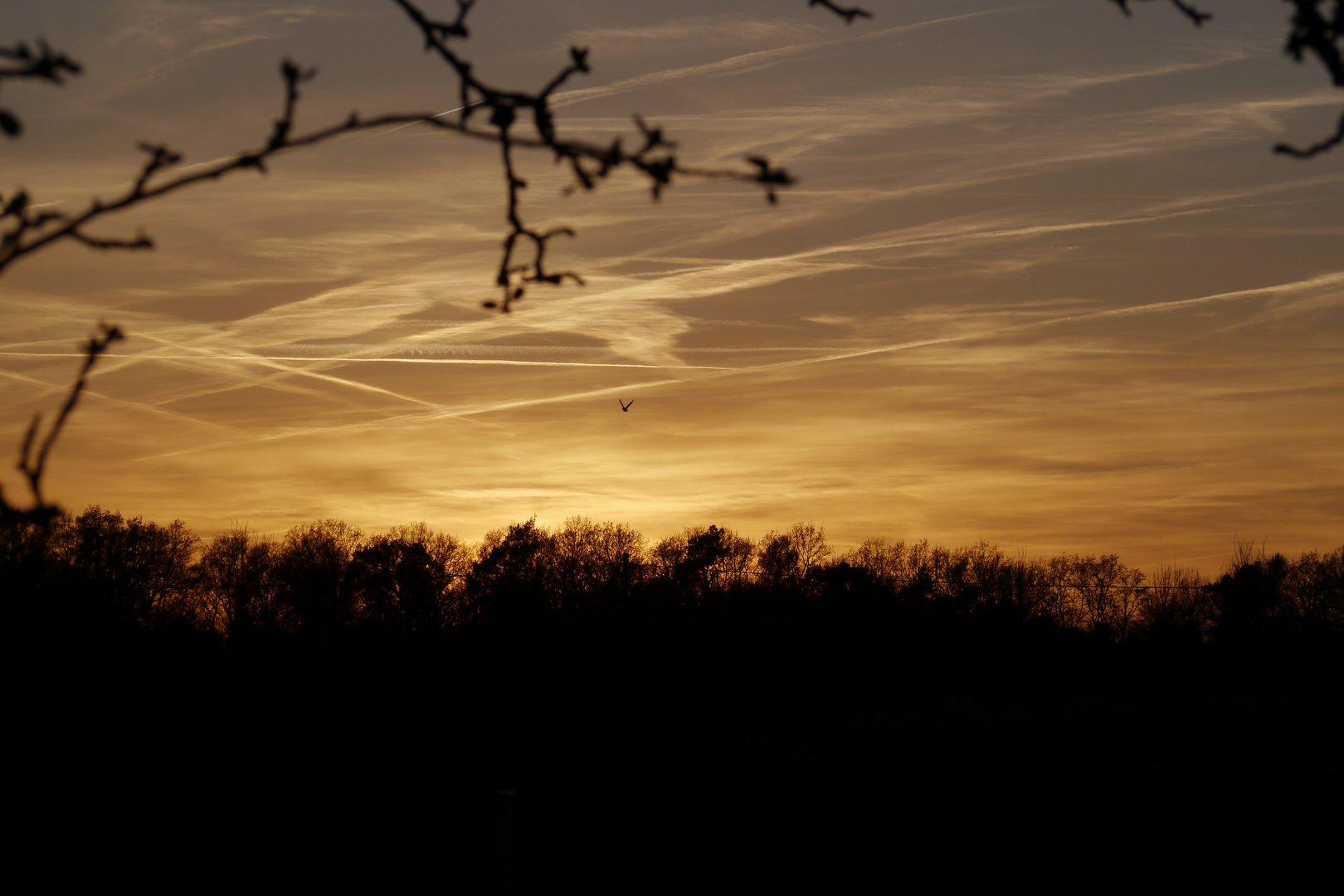 Abenddämmerung bei Coesfeld