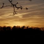 Abenddämmerung bei Coesfeld