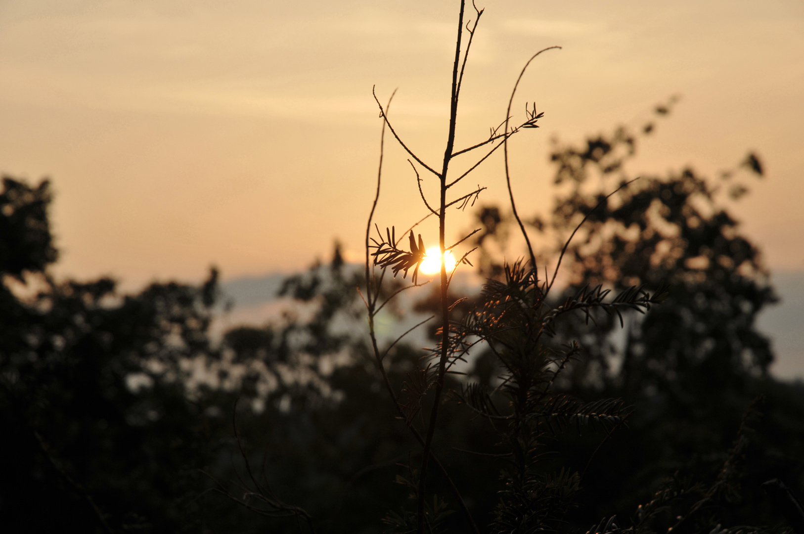 Abenddämmerung