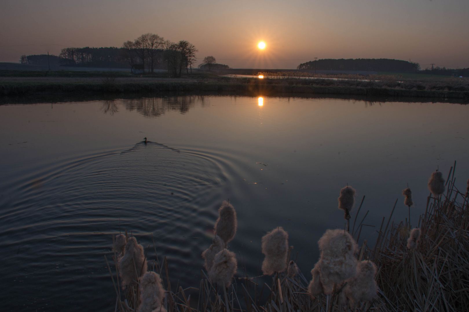 Abenddämmerung