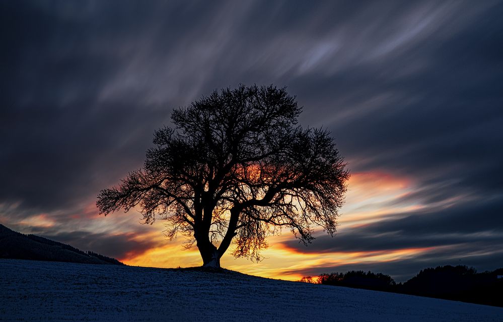 Abenddämmerung 