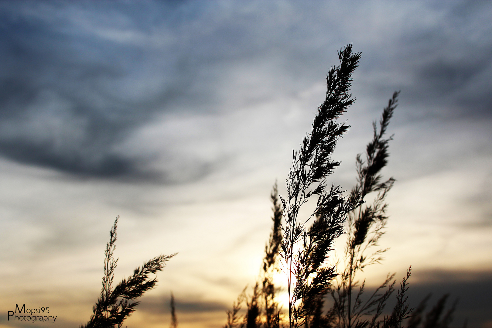 Abenddämmerung