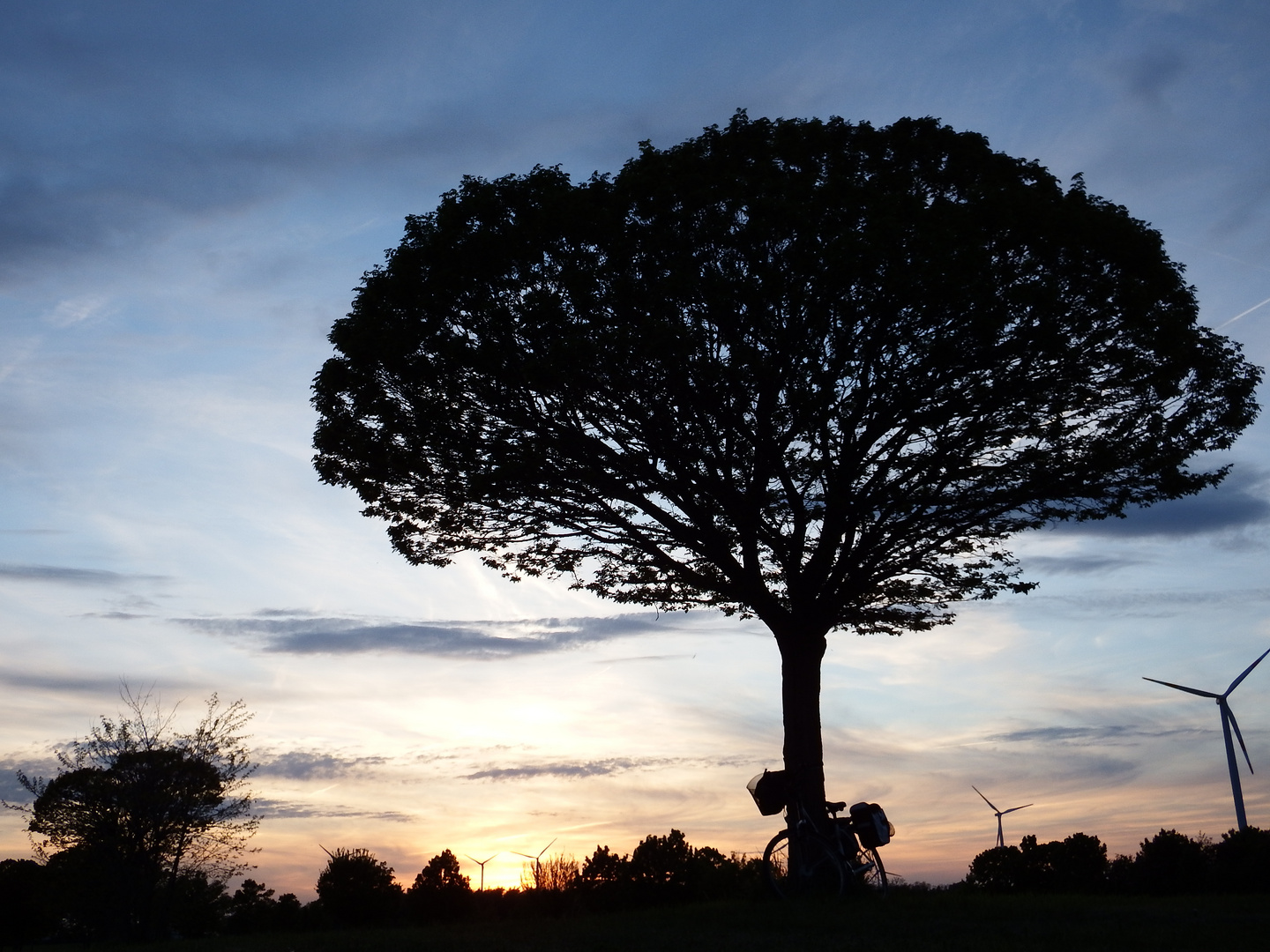 Abenddämmerung