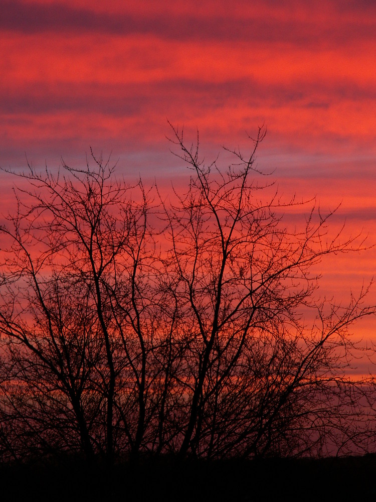 Abenddämmerung