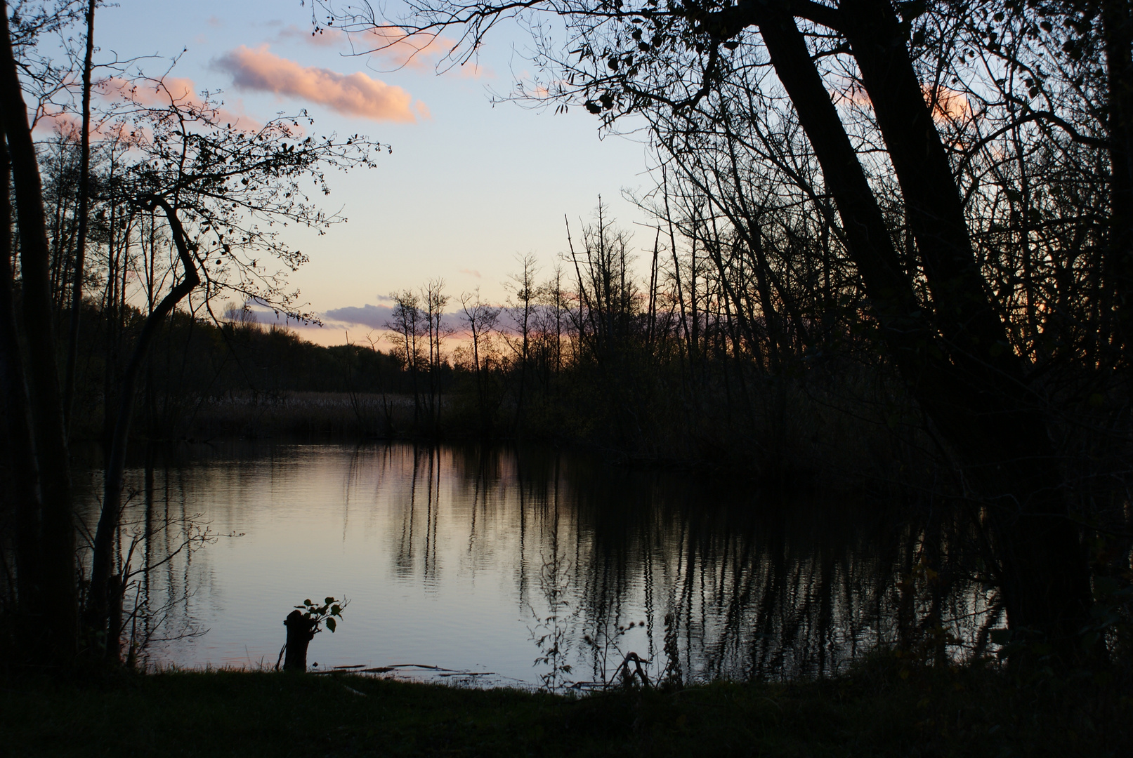 Abenddämmerung