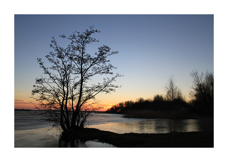 Abenddämmerung