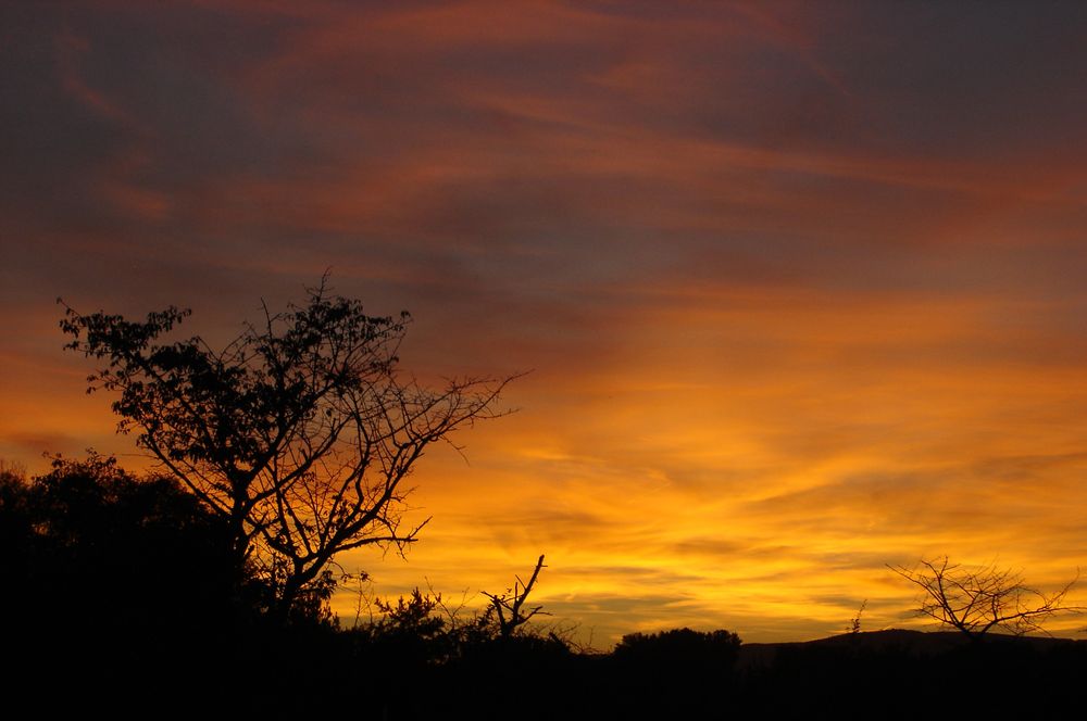 Abenddämmerung