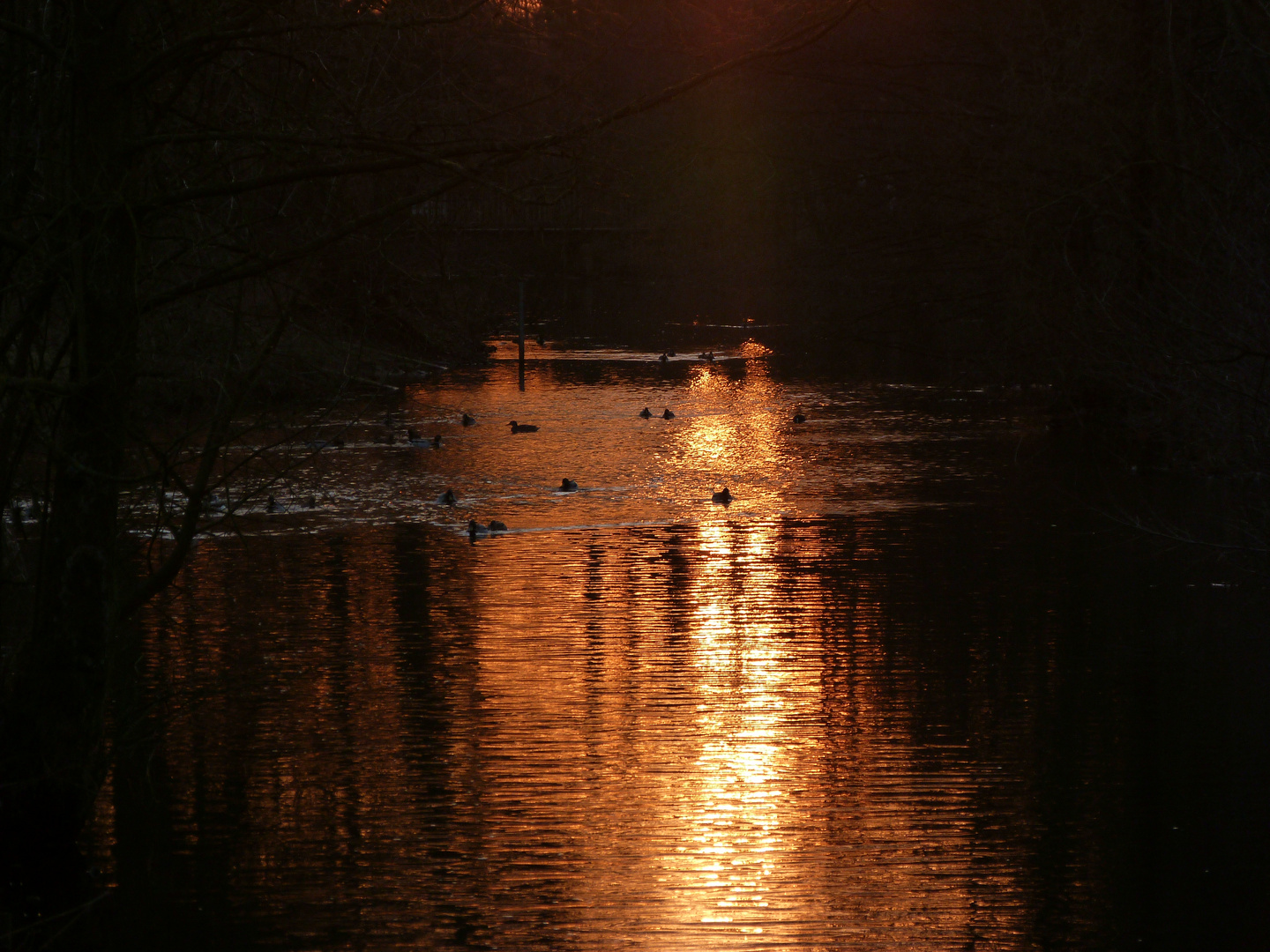 Abenddämmerung