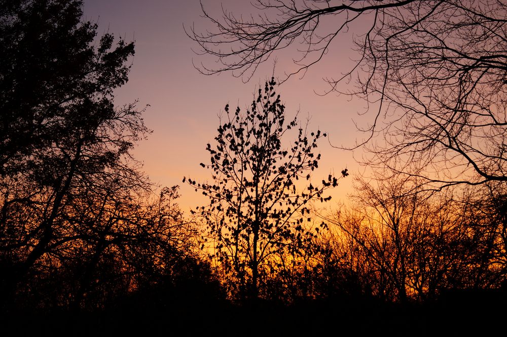 Abenddämmerung