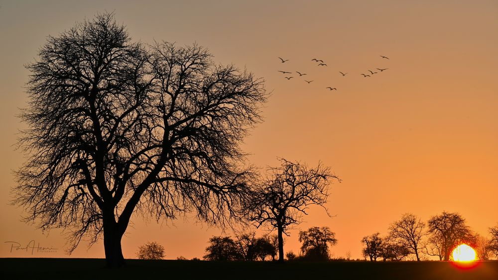 Abenddämmerung II