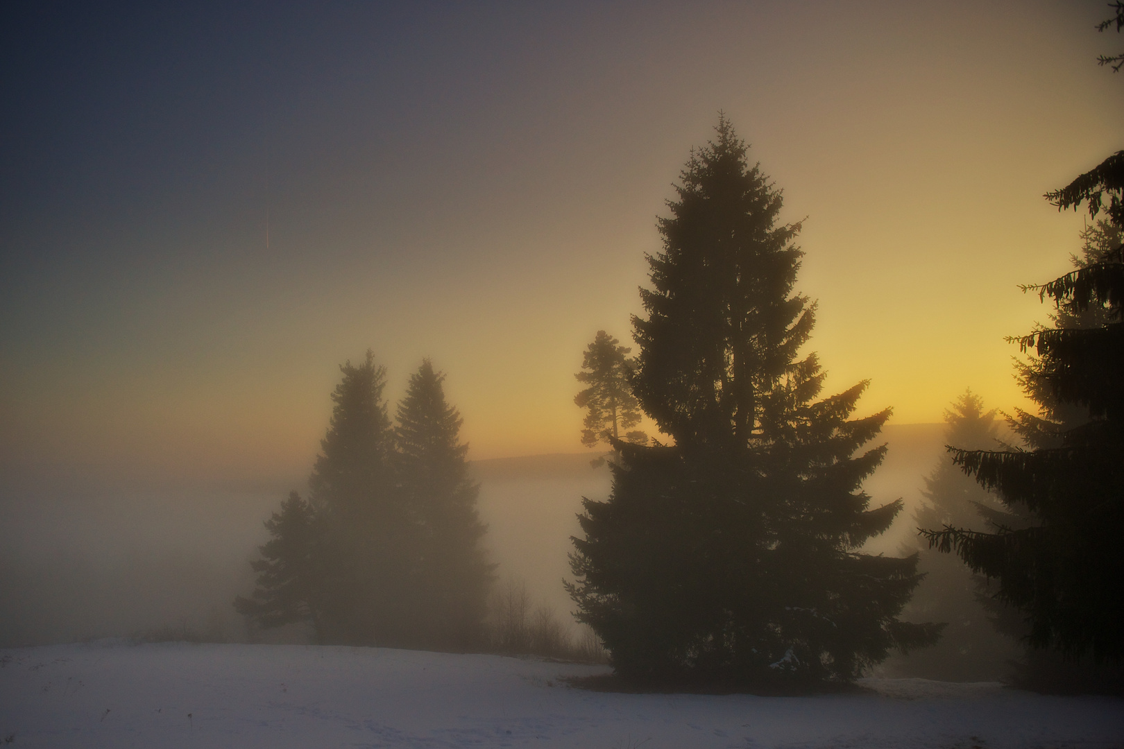 Abenddämmerung im Hochschwarzwald