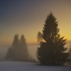 Abenddämmerung im Hochschwarzwald