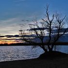 Abenddämmerung im Januar