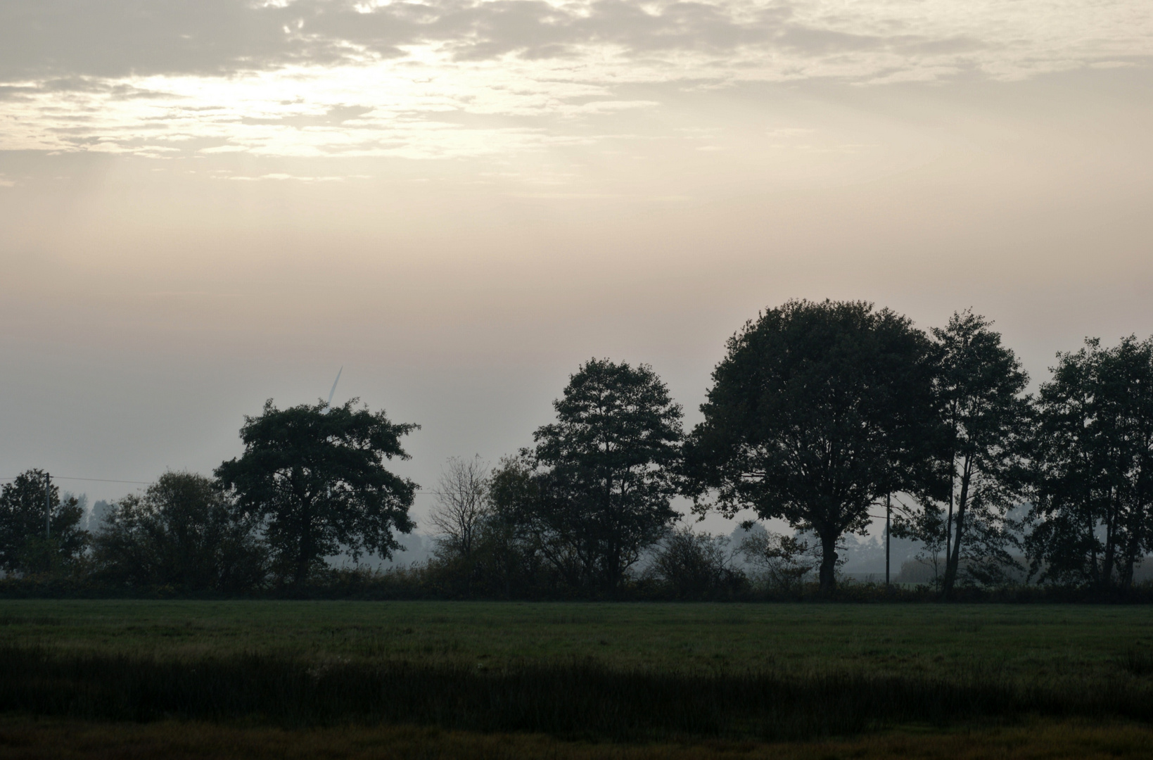 Abenddämmerung im Moor