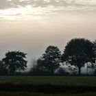 Abenddämmerung im Moor